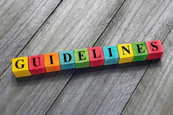 guidelines spelled using colorful wooden blocks