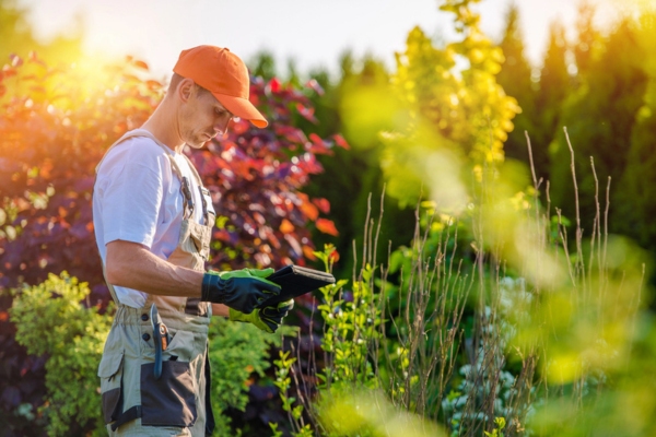 professional landscape contractor for propane tank landscaping